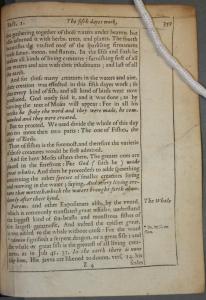 Torn leaf after repair. Sion ARC A54.0 SW2. Recto and verso.