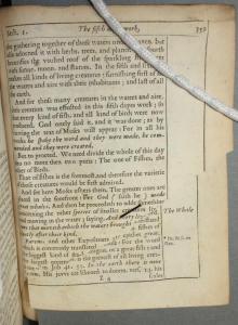 Metal pin holding torn leaf in place. Sion ARC A54.0 SW2. Before, recto and verso.