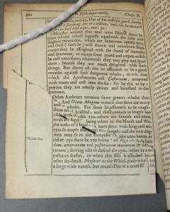 Before, verso. Metal pin holding torn leaf in place. Sion ARC A54.0 SW2.