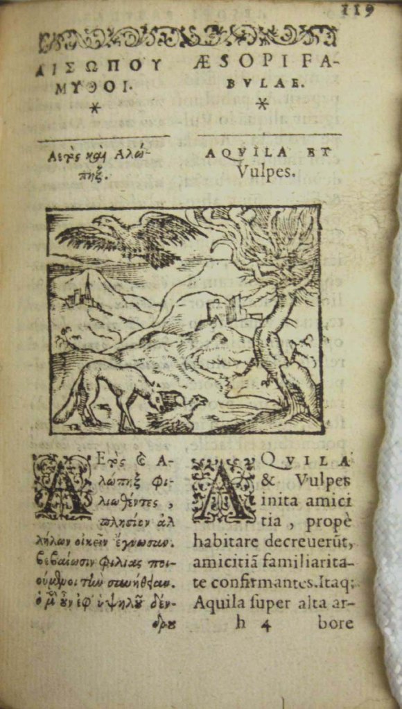 Aesop 119