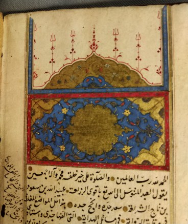 MS 573 illumination