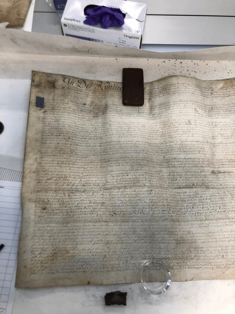 The same document after being cleaned