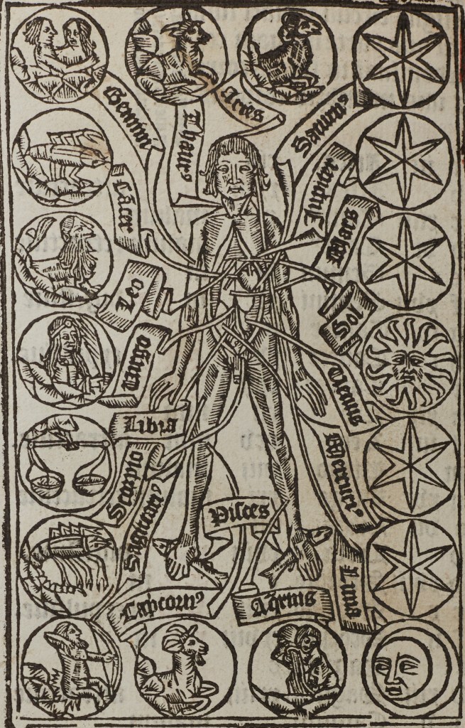 Detail of Zodiac man image with star signs